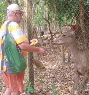 一名男子正在隔着栅栏喂鹿