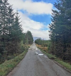 prázdná silnice uprostřed lesa