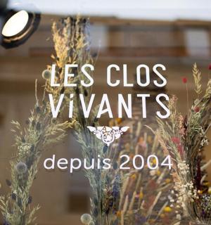 窗户上有一只蝴蝶的商店招牌