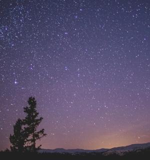 a starry sky with trees in the foreground
