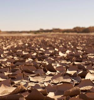 a large field of rocks in a field