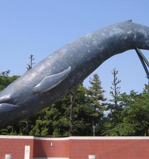 墙前的鲸鱼雕像