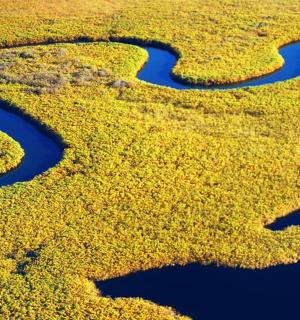 an aerial view of a river in a field