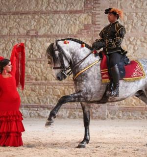 Equestrian Show Royal Stables of Córdoba