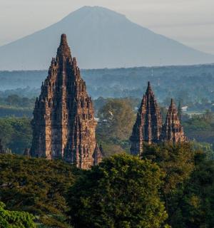 a group of large towers on a hill with trees