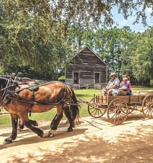 kůň táhnoucí kočár se dvěma lidmi na něm