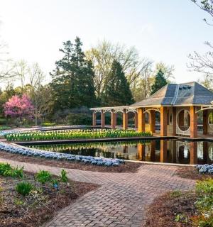 zahrada s altánkem a jezírkem