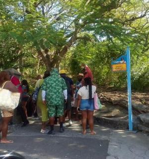 a group of people standing in front of a tree