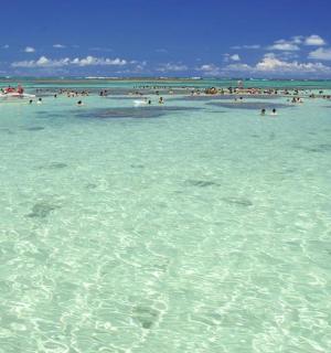 a group of people in the water at a beach