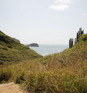 一群人沿着海边的小路行走