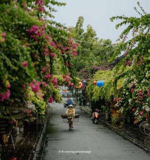 一群人骑着摩托车沿着鲜花盛开的街道行驶