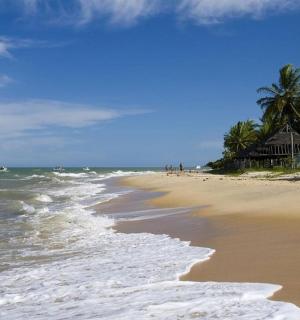 有建筑物、棕榈树和海洋的海滩