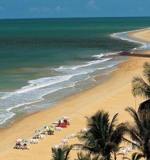 一片有一堆遮阳伞和大海的海滩