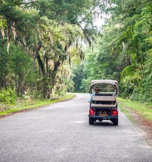 一辆人力车在森林的道路上行驶