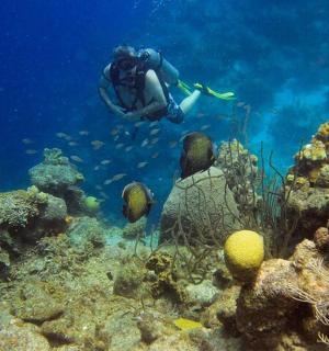 在珊瑚礁上游泳的人