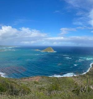 海洋和海滩的鸟瞰图