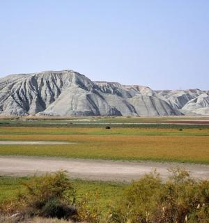 a large field with a mountain in the background