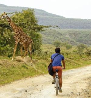 a person riding a bike on a dirt road with a giraffe
