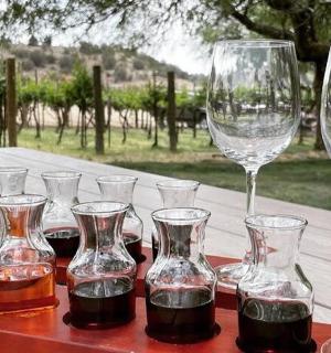 skupina sklenic na víno sedících na stole