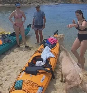 a group of people standing on a beach next to a kayak