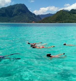 un grup de persones nedant a l'aigua