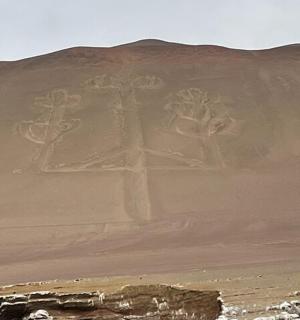 沙漠中的三棵棕榈树的画作