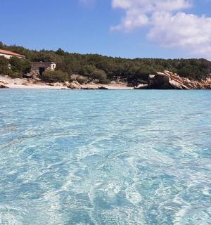 一大片水域，背景是一栋房子