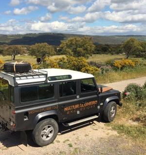 džíp zaparkovaný na kraji prašné cesty