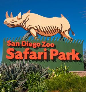 cedule pro safari park zoo v San Diegu