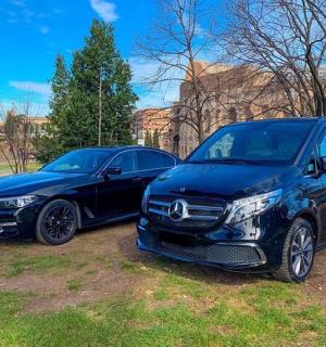 两辆汽车并排停在田野里