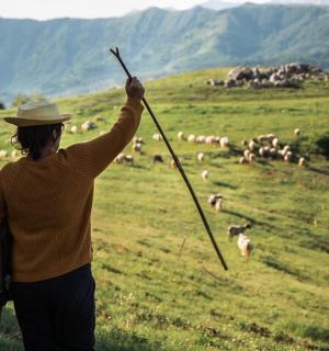 一名妇女在田野里拿着一根棍子,旁边还有一群羊
