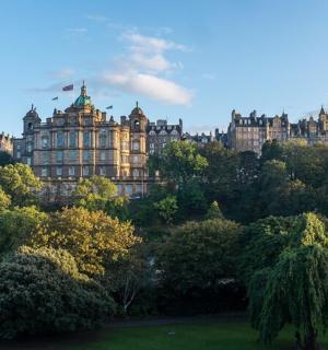 位于树木繁茂的城市中心的一座大楼
