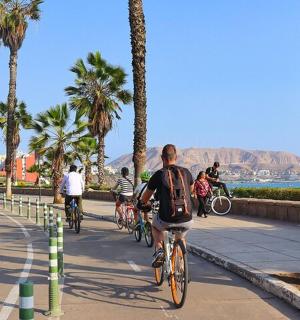 一群人骑着自行车沿着棕榈树环绕的街道行驶