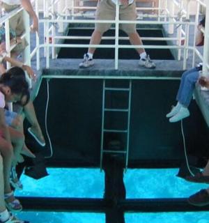 a group of people sitting on a bus