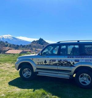 a white jeep parked on a grass field