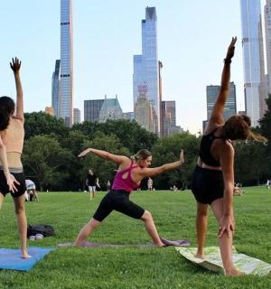 a group of women doing yoga in a park