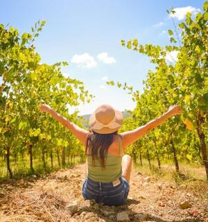 一位戴着帽子的女人坐在葡萄园的小路上