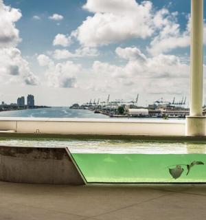 a skateboard ramp in front of a body of water