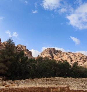 pohled na horu se stromy a skalami