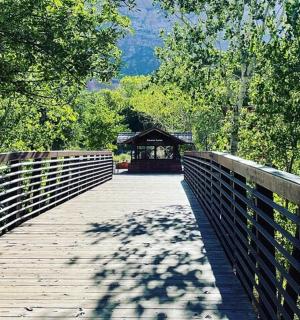 a bridge with a gazebo in the middle of a park
