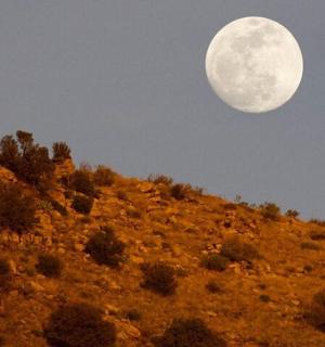 úplněk vycházející nad kopcem se stromy