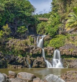 a waterfall in a park with rocks and trees