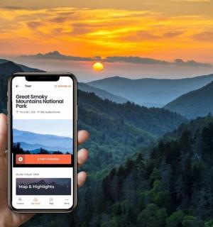 一个人在山前举着手机