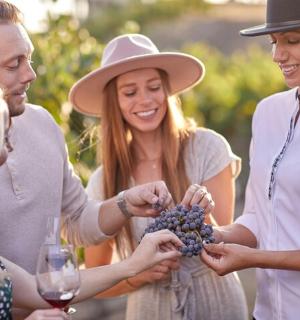 一群人围着一串葡萄