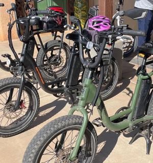 一组自行车并排停放