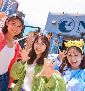 a group of girls with their hands in the air