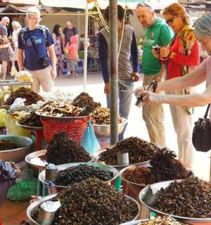一群人站在昆虫展示周围