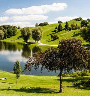 田野中有一处湖泊，周围有树木和小山