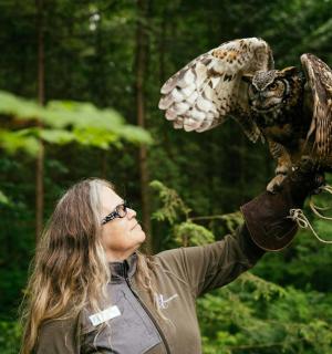 一位女士手上抱着一只猫头鹰
