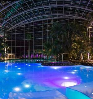 ein großes Schwimmbad in einem Gebäude mit einer Decke